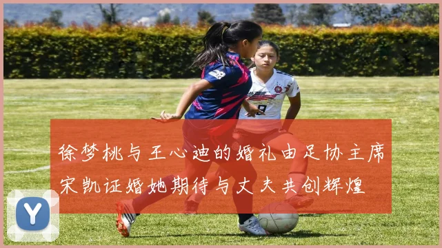 徐梦桃与王心迪的婚礼由足协主席宋凯证婚她期待与丈夫共创辉煌