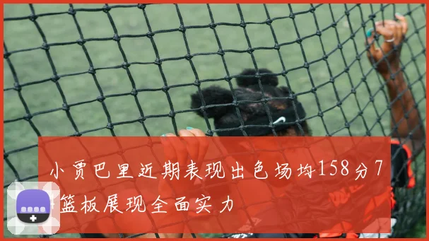 小贾巴里近期表现出色场均158分74篮板展现全面实力