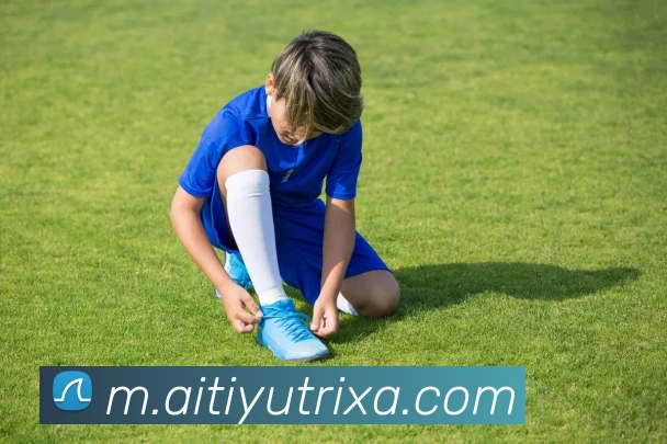 爱体育平台生态图