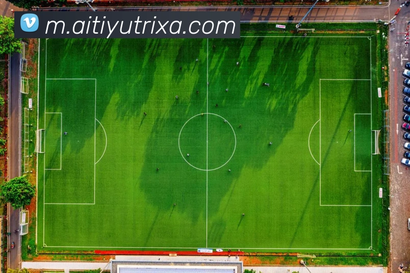 爱体育APP 封面图